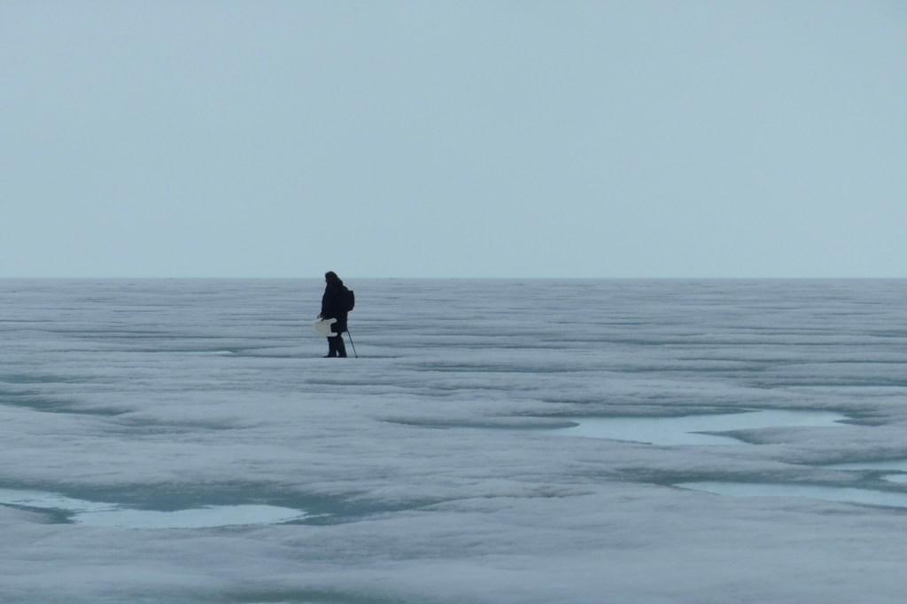 Greenland Science Week, Ice Sheets, Indigenous Rights & Arctic Security… November’s Wrap Up